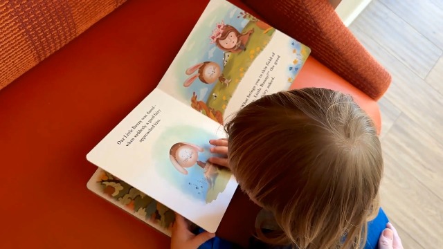 The Silly Bunny: A colourful illustrated Board book for kids with